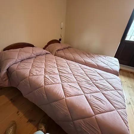 Rifugio Escursionistico Borgo 阿切廖